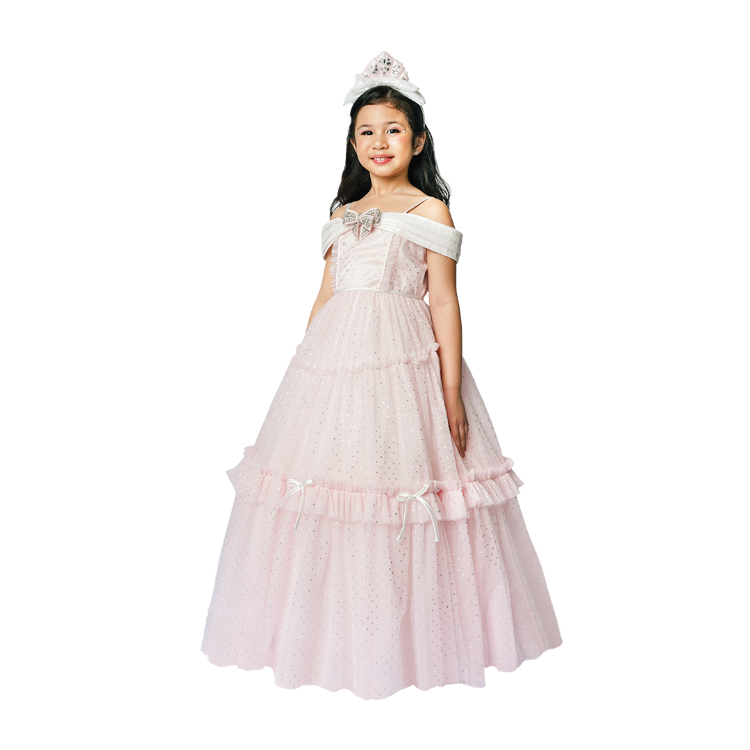 Aurora Princess Dress