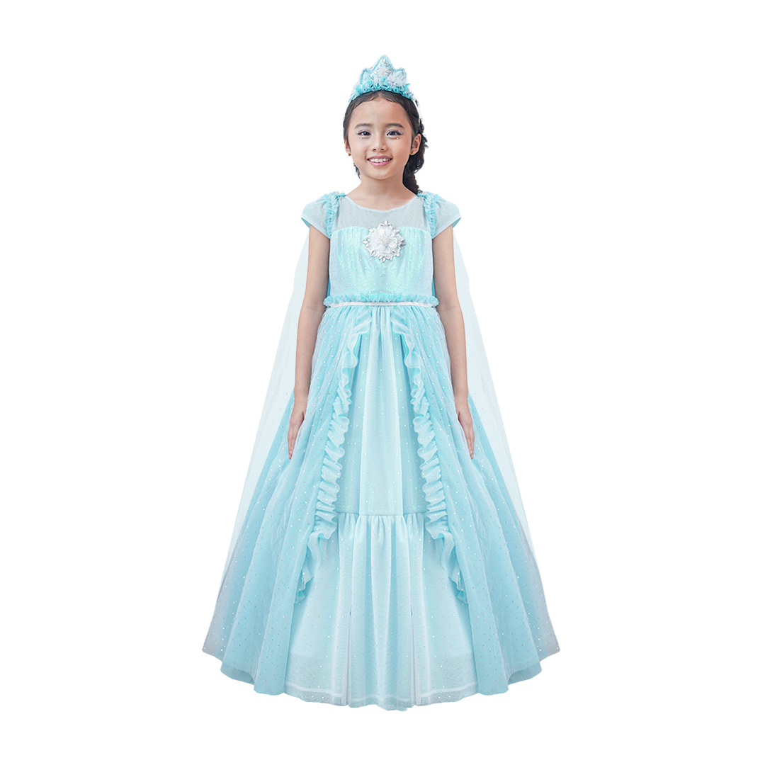 Elsa Princess Dress